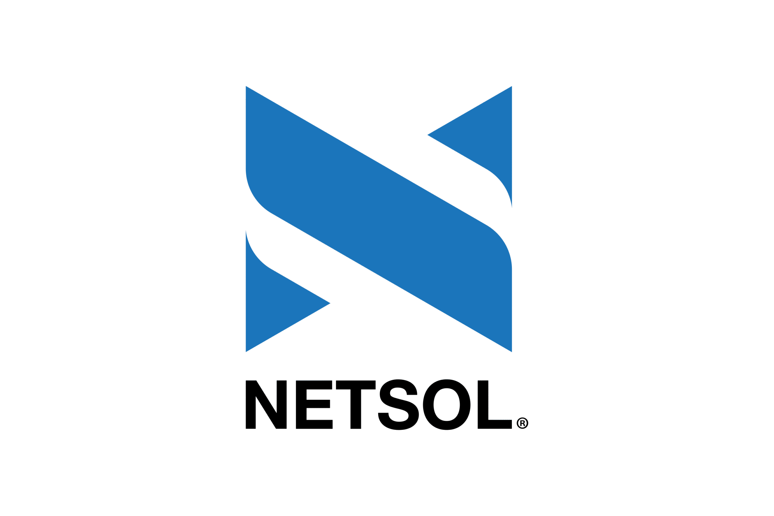 NetSol Technologies Logo