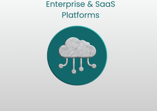 Enterprise & SaaS Platforms