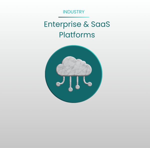 Enterprise & SaaS Platforms